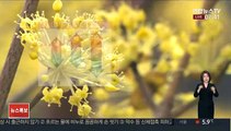 [날씨] 전국 맑고 따뜻한 봄…대기 건조, 화재 유의