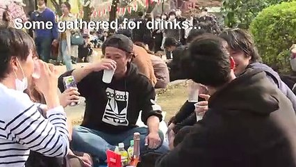 Japan enjoys cherry blossom despite warning over cornavirus