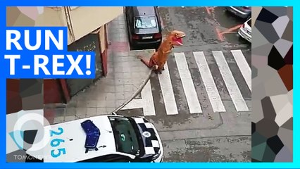 Quarantined citizen disguised as T-Rex stopped by Police