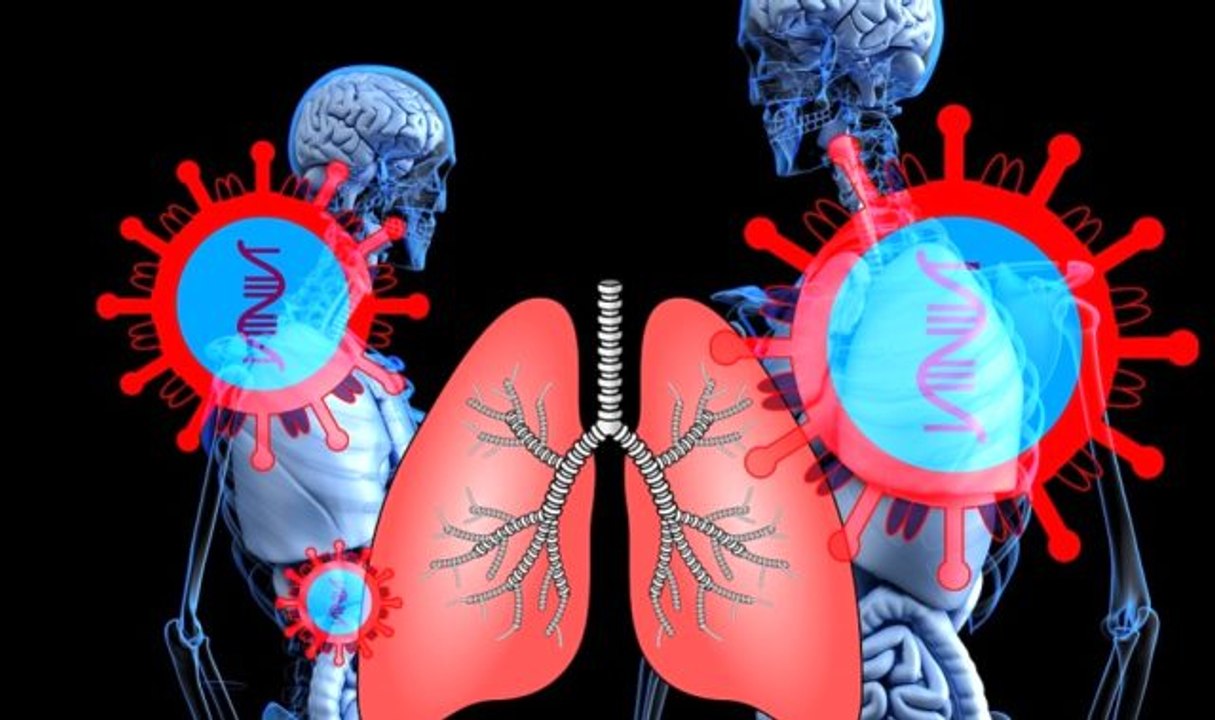 Koronavirüs ile grip arasında ne fark var? İşte, Kovid-19 ile grip, nezle, alerji arasındaki farklar!