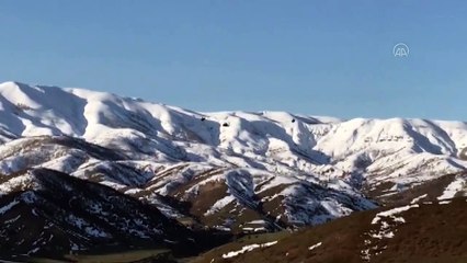 'Kapan-9 Karer Operasyonu - BİNGÖL