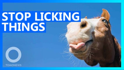 Woman licks freezer handle to protest against coronavirus