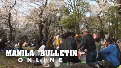 Japan enjoys cherry blossom despite warning over cornavirus