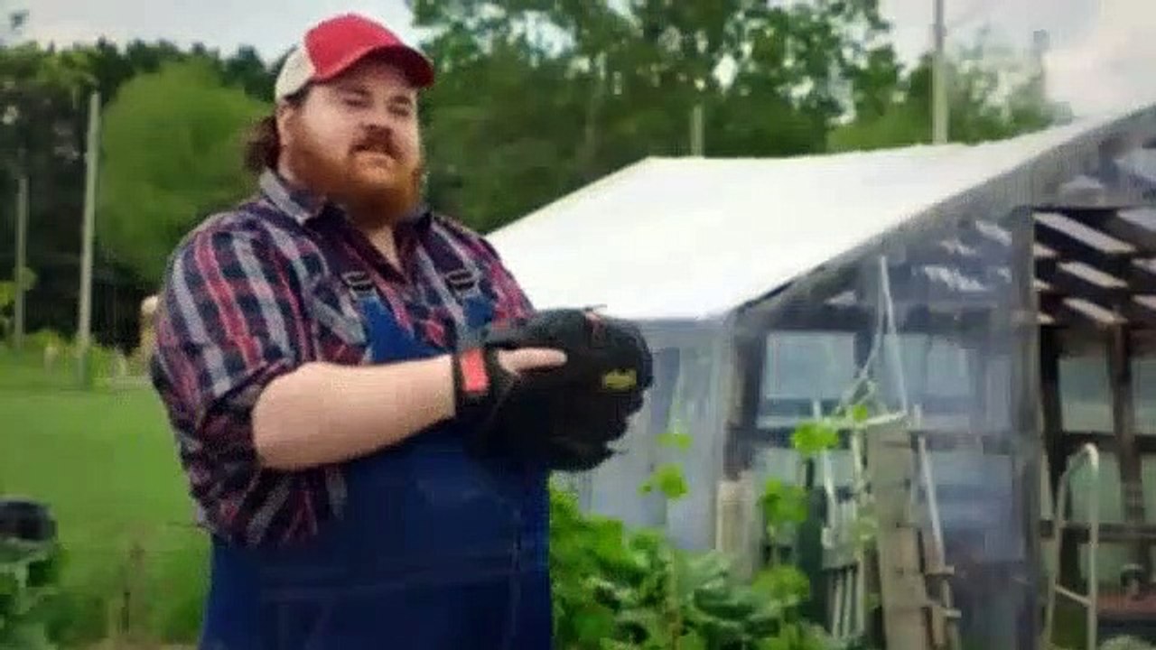 Letterkenny Season 2 Episode 3 Relationships