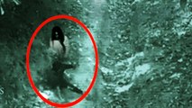 Real Ghost Attack Caught on CCTV In Forest - Scary Videos - Rear Ghost Caught On Camera