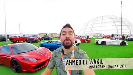 Pagani zonda riviera