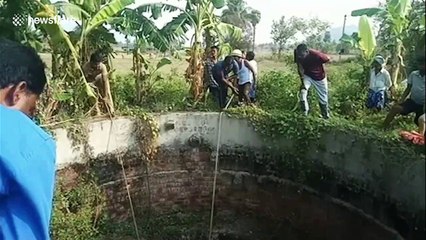 Locals use ropes to rescue deer from bottom of farm well in India
