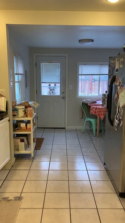 Doggy Quickly Changes Its Mind About Being Outside