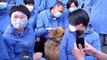 Golden retriever refuses to leave coronavirus medical workers who took care of it for two months in Hubei