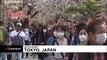 Japanese go out en masse to celebrate cherry blossom season despite coronavirus outbreak