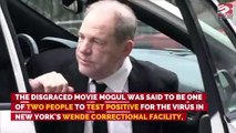 Harvey Weinstein tests positive for coronavirus in prison - union official