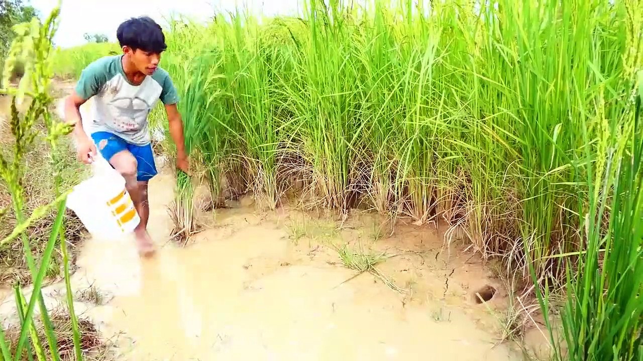 CocaCola Catch Fish in hole in dry season