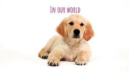 National Puppy Day _ March _ Seed Processing, Packing, Storage _ Jam Jam Group