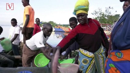 Go Fish! Coronavirus Fears Give Kenyan Fisherman an Unexpected Boost