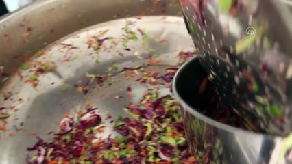 Evden çıkmayan yaşlılara sıcak yemek yardımı - VAN