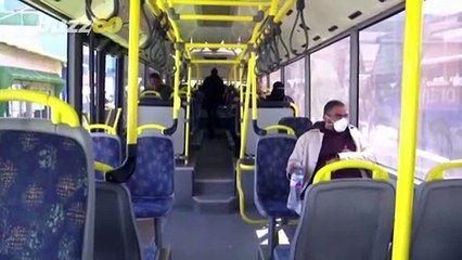 Beauty in the Sky! Catch a Glimpse of the Northern Lights from Your Home