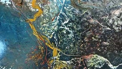 Hommage à Neil Armstrong