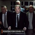 Harvey Weinstein tests positive for coronavirus – report