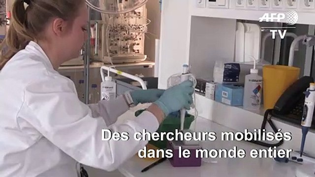 Coronavirus: des chercheurs de l'université de Copenhague travaillent au développement d'un vaccin