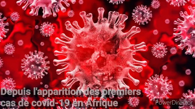 Lutte contre le Coronavirus : Certains chefs d'Etat africains se servent des réseaux sociaux