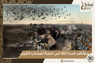 ماهي قصة أصحاب الفيل - ومن هو أبرهة الحبشي ؟