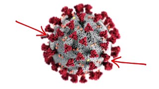 The Coronavirus Vaccine Explained _ COVID-19
