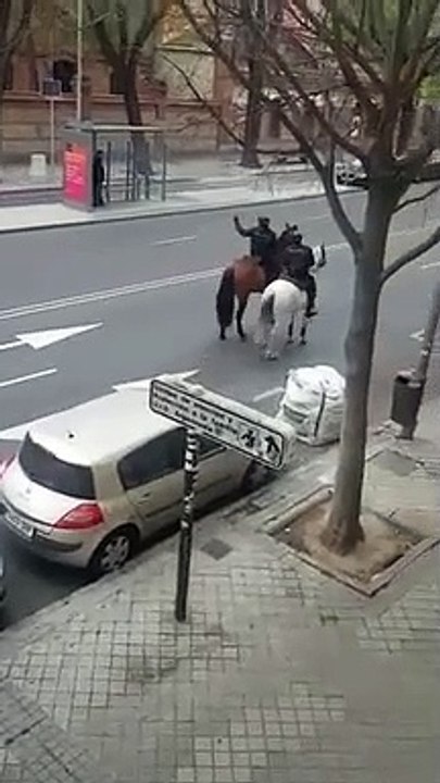 Polícia a cavalo persegue ciclista que ignorou aviso em Madrid