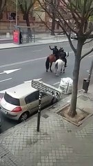 Polícia a cavalo persegue ciclista que ignorou aviso em Madrid