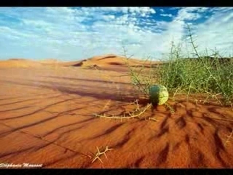chut.....c'est beau