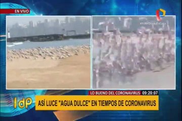 Coronavirus en Perú: naturaleza ‘despierta’ en Agua Dulce por cuarentena