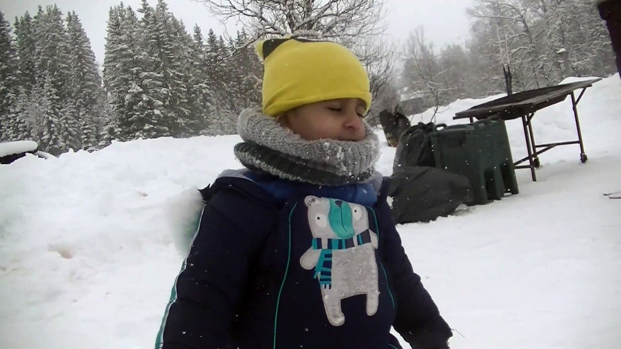 Winter Activities | Snow Fun | Day Trip | Snow Paradise | Ski | Dogsled | Snow Scooter | Desi Life