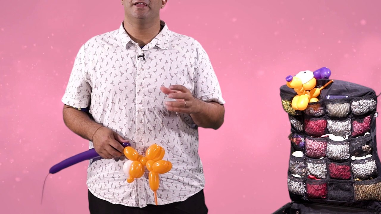 שיעור 8 - חיות משודרגות