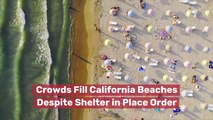 Crowds Fill California Beaches Despite Shelter In Place Order