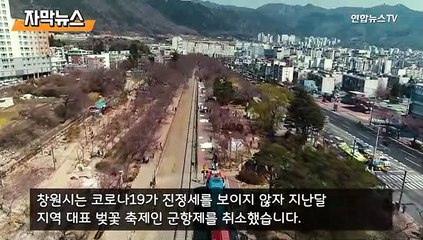 [자막놀이] 벚꽃놀이는 내년으로…올해는 제발 참아주세요!
