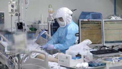 [뉴스앤이슈] "코로나19, 인구 60% 면역 생겨야 종식"...장기전 대비 어떻게? / YTN