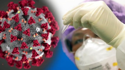 கொரோனா வைரஸ் எந்த பொருளில் எவ்வளவு காலம் உயிருடன் இருக்கும்?