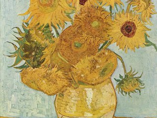 Logran convertir el polen en un material blando, flexible y ecológico