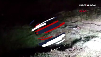 Aç kalan yaban domuzu İstanbul'da yerleşim yerine indi