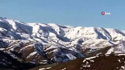 Güvenlik güçlerine el bombası atma hazırlığında olan terörist etkisiz hale getirildi