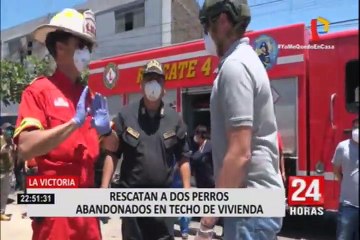 La Victoria: Rescatan a dos perros abandonados en techo de vivienda