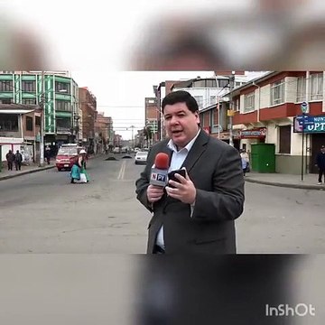 Ce journaliste n’a pu se retenir de rigoler en voyant ces chiens amoureux derrière lui en plein reportage.