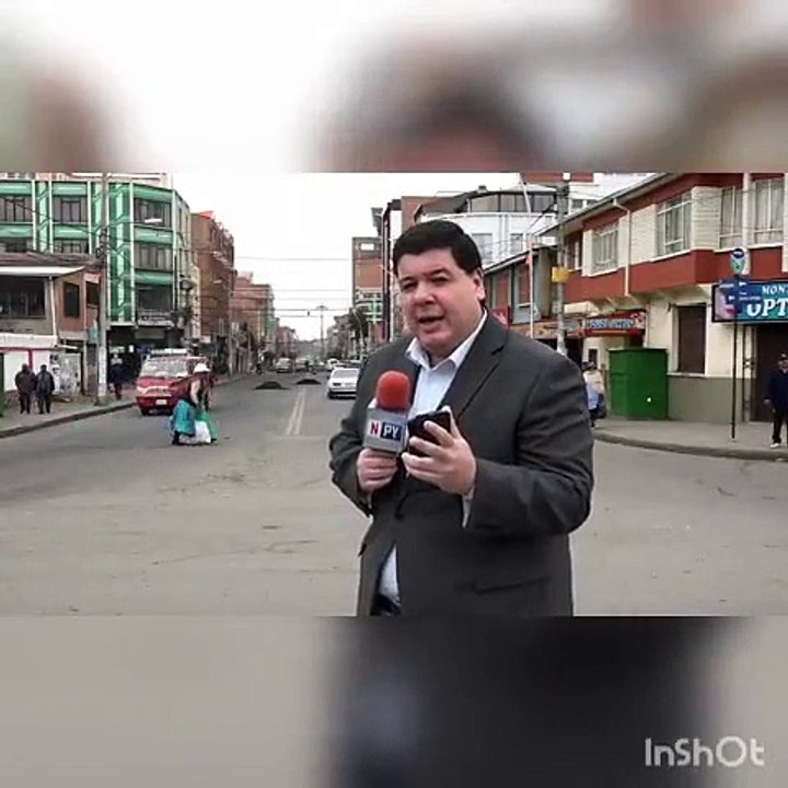 Ce journaliste n’a pu se retenir de rigoler en voyant ces chiens amoureux derrière lui en plein reportage.