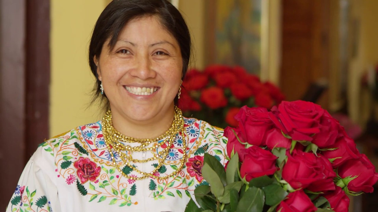 Your Story Starts in Quito Ecuador