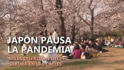 La pandemia no detiene una arraigada tradición anual en Japón