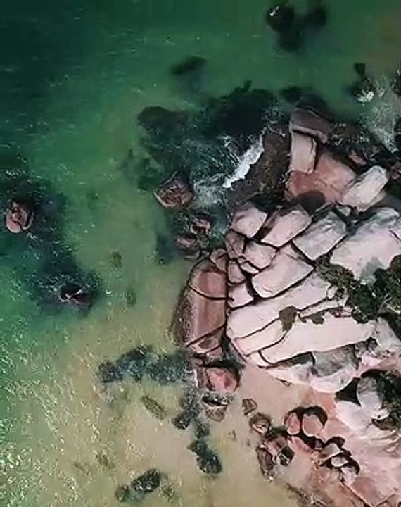 Alessandra Ambrosio - Wave & Flow - March 2020