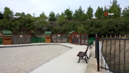 Türkiye'nin en büyük cam horoz heykelini montaj ile kümesine gönderdiler