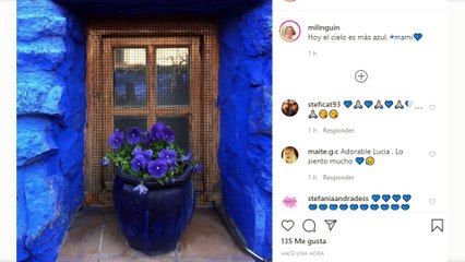 Miguel Bosé y Paola Dominguín, los homenajes más bonitos a su madre