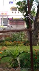 ਪੰਜਾਬ ਵਿਚ ਲੋਕ ਨਹੀਂ ਬੈਠ ਰਹੇ ਘਰ ਪੰਜਾਬ ਪੁਲਿਸ ਨੂੰ ਕਰਨੀ ਪੈ ਰਹੀ ਹੈ ਸਖਤੀ।।