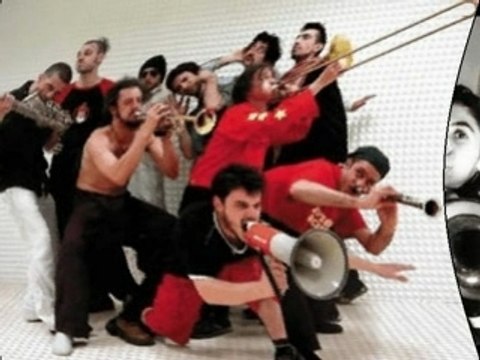 Debout sur le zinc, tryo, les ogres de barback, ska-p....