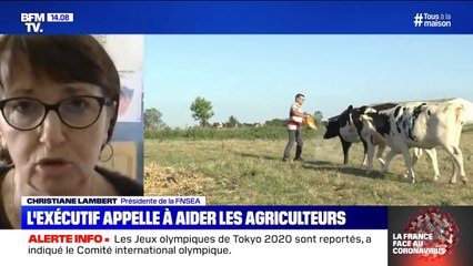 Descargar video: Christiane Lambert, présidente de la FNSEA appelle à 